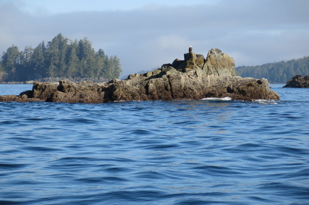 Eagle Nook Resort Ucluelet Exteriér fotografie